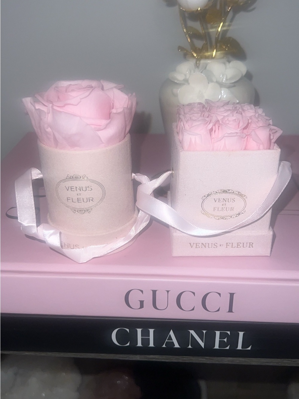Venus et Fleur Pink Preserved Rose Box - Luxury Home Accent